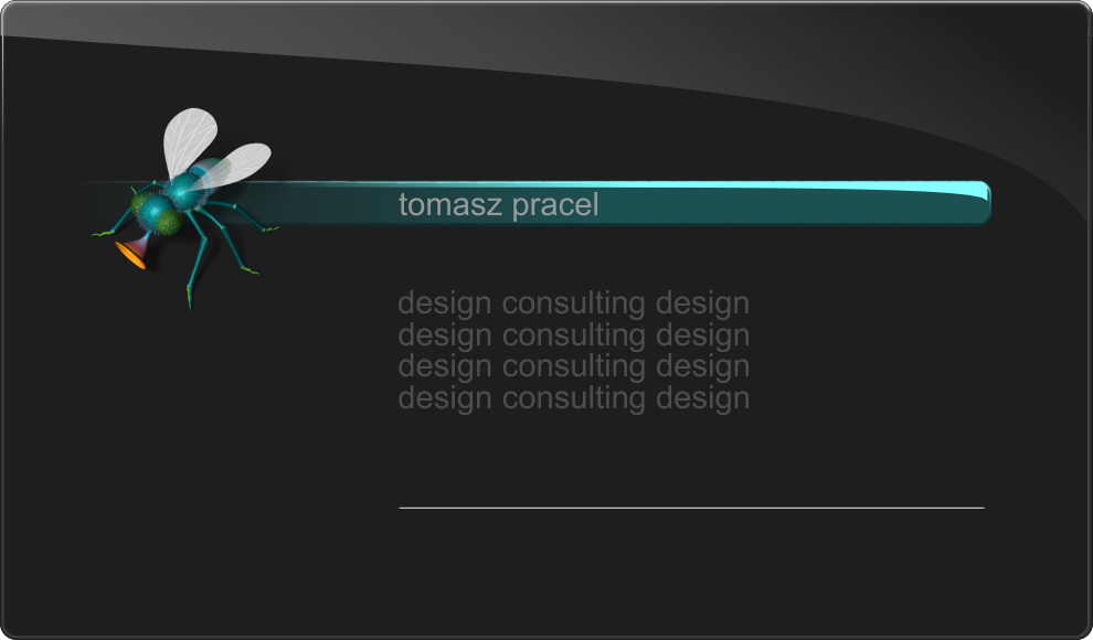 Graphic Design, 3D Modeling and Photorealistic Rendering, DVD Authoring, Computer Animation, Product Design, Web Design, Consulting, Ithaca NY