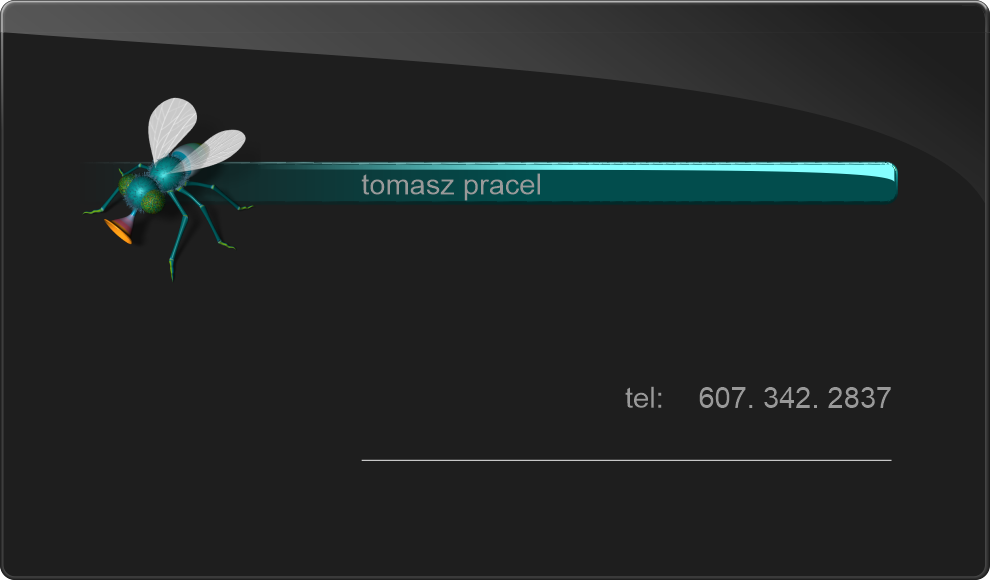 Graphic Design, 3D Modeling and Photorealistic Rendering, DVD Authoring, Computer Animation, Product Design, Web Design, Consulting, Ithaca NY