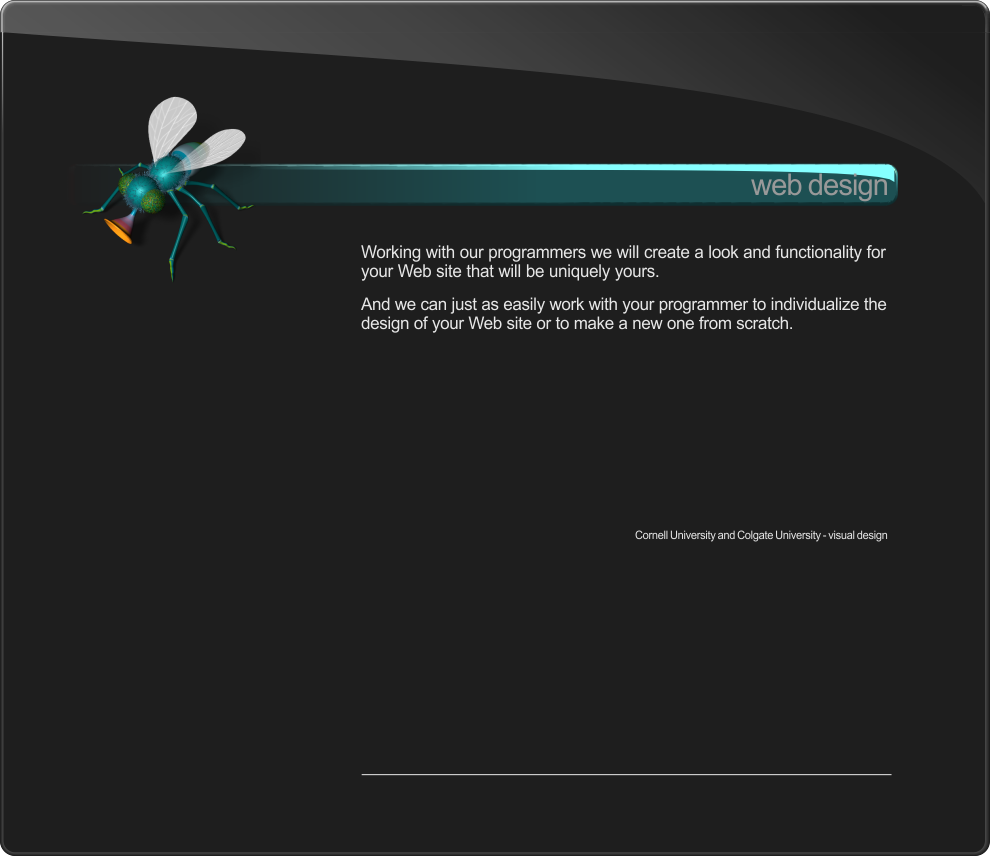 Graphic Design, 3D Modeling and Photorealistic Rendering, DVD Authoring, Computer Animation, Product Design, Web Design, Consulting, Ithaca NY